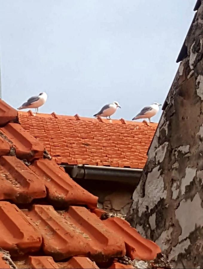 Hvar Heart Heritage Apartment Stari Grad  Exterior foto